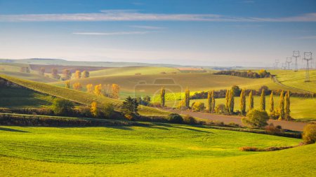 Photo for Autumn sunny rural landscape with a row of colored trees. The Turiec region of Slovakia, Europe. - Royalty Free Image