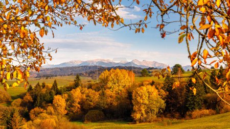 Photo for View of autumn landscape framed by colorful foliage at sunset, The Western Tatras mountains in Slovakia in a background. The Orava region of Slovakia, Europe. - Royalty Free Image