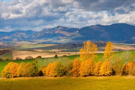 Foto de Paisaje otoñal con árboles y colinas de colores brillantes en el fondo. Región de Liptov en el norte de Eslovaquia, Europa. - Imagen libre de derechos
