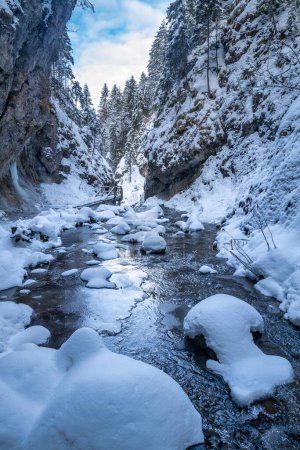 Téléchargez les photos : Paysage hivernal enneigé avec un ruisseau sauvage. Parc national Mala Fatra en Slovaquie, Europe. - en image libre de droit