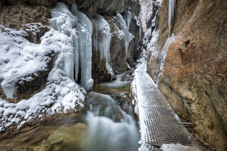 Foto de Paisaje invernal con un arroyo salvaje y cascadas a través de un estrecho desfiladero y cañón cubierto de nieve y hielo. El parque nacional Mala Fatra en Eslovaquia, Europa. - Imagen libre de derechos