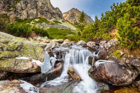 Téléchargez les photos : Ruisseau sauvage dans la vallée de la Mlynicka à la fin de l'automne. Parc national des Hautes Tatras, Slovaquie, Europe
. - en image libre de droit