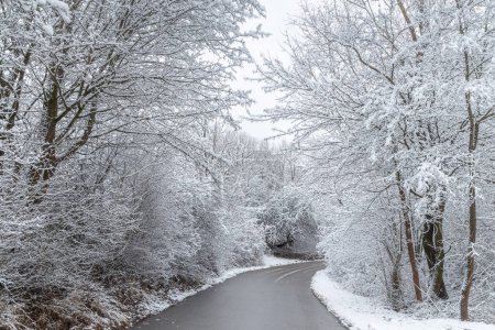 Téléchargez les photos : Une route à travers un paysage hivernal avec des arbres enneigés. - en image libre de droit