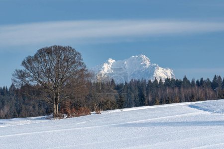 Foto de Invierno paisaje nevado con montaña en el fondo. Noroeste de Eslovaquia, Europa. - Imagen libre de derechos