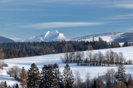 Téléchargez les photos : Paysage enneigé d'hiver avec montagne en arrière-plan. Nord-ouest de la Slovaquie, Europe. - en image libre de droit