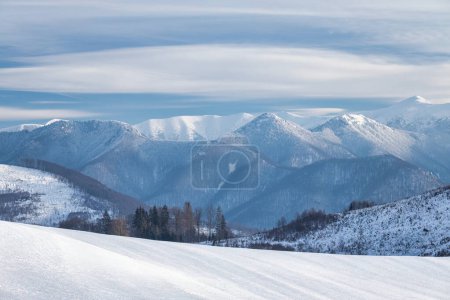 Téléchargez les photos : Paysage enneigé d'hiver avec des montagnes en arrière-plan. Parc national Mala Fatra en Slovaquie, Europe. - en image libre de droit