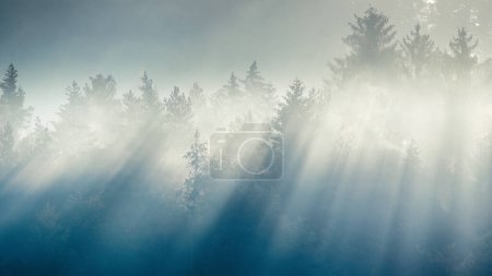 Photo for Autumn landscape, sun rays illuminating the trees in the fog. The Sulov Rocks, national nature reserve in northwest of Slovakia, Europe. - Royalty Free Image