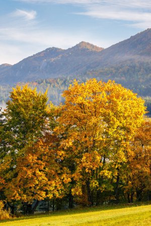 Téléchargez les photos : Une montagne entourée de brouillard en automne. The Sulov Rocks, réserve naturelle nationale au nord-ouest de la Slovaquie, Europe. - en image libre de droit