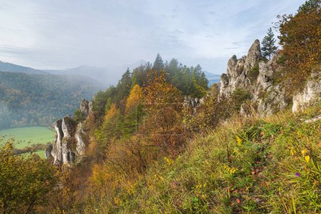 Téléchargez les photos : Paysage montagneux rocheux en automne matin brumeux. La colline Podskalsky Rohac dans les montagnes Strazov Zone de paysage protégé, Slovaquie, Europe. - en image libre de droit