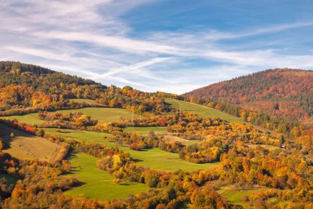 Téléchargez les photos : Vue du paysage automnal avec forêts et pâturages avec bétail. Les Carpates Blanches, Slovaquie, Europe. - en image libre de droit