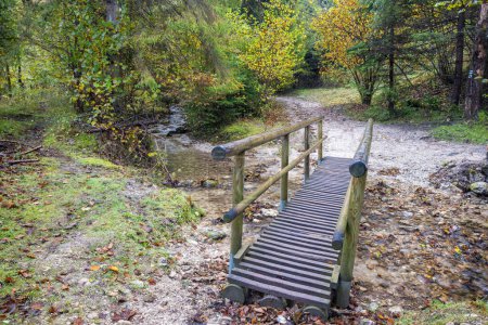 Téléchargez les photos : Une passerelle en bois au-dessus d'un ruisseau dans la forêt d'automne. Parc national Mala Fatra en Slovaquie, Europe. - en image libre de droit