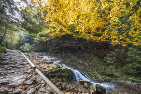 Photo for Tranquil autumn footpath along the stream through forest. The Mala Fatra national park in Slovakia, Europe. - Royalty Free Image