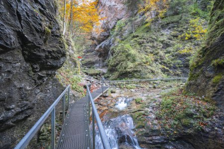 Téléchargez les photos : La passerelle sur la gorge rocheuse Dolne diery dans le parc national de Mala Fatra, Slovaquie, Europe. - en image libre de droit