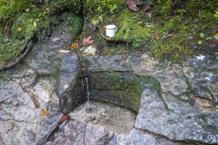 Foto de El pozo con agua corriente tallada en la roca. El cañón rocoso Dolne diery en el Parque Nacional Mala Fatra, Eslovaquia, Europa. - Imagen libre de derechos