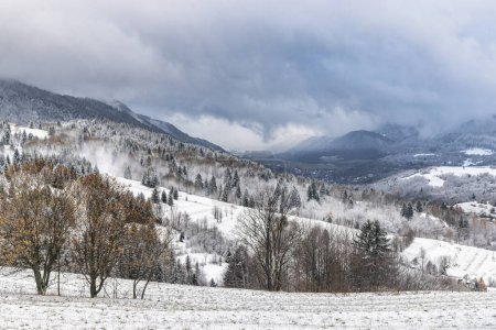 Téléchargez les photos : Paysage hivernal avec des arbres enneigés et des montagnes lors d'une journée brumeuse. Parc national Mala Fatra dans le nord-ouest de la Slovaquie, Europe. - en image libre de droit