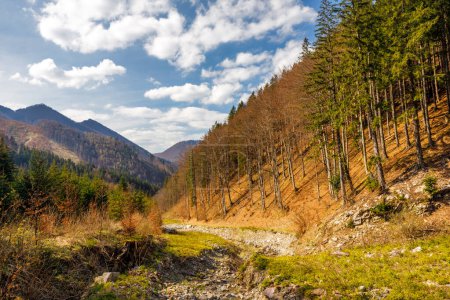 Un valle montañoso con un lecho de arroyo. El parque nacional Mala Fatra en Eslovaquia, Europa.
