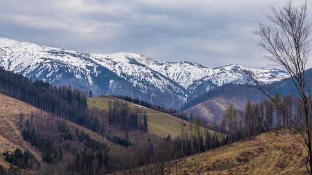 Foto de Paisaje primaveral con montañas nevadas al fondo. Vista del Parque Nacional Mala Fatra en Eslovaquia, Europa. - Imagen libre de derechos