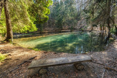 Photo for Forest still life with a bench by the lake. - Royalty Free Image