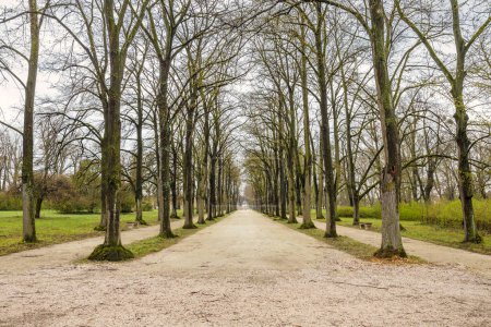 Téléchargez les photos : Allée des arbres dans le parc du château Eszterhaza à Fertod, Hongrie, Europe. - en image libre de droit