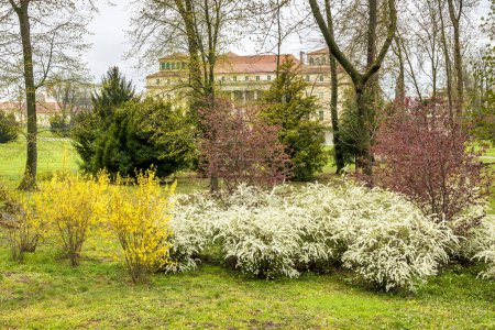 Bäume im Park von Schloss Esterhazy in Eisenstadt, Österreich, Europa.