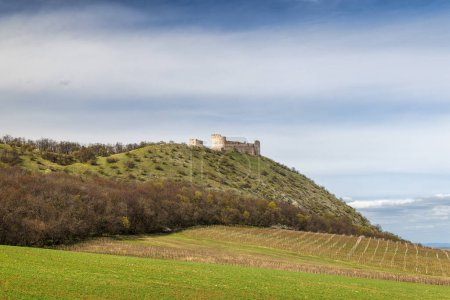 Téléchargez les photos : Les ruines du château de Devicky sur les collines Pavlov au-dessus du vignoble en Moravie du Sud, République tchèque, Europe. - en image libre de droit