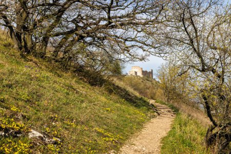 Téléchargez les photos : Promenade vers le château Devicky sur la montagne Palava en Moravie du Sud, République tchèque, Europe. - en image libre de droit