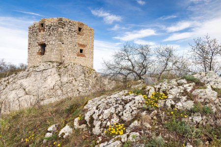 Les ruines du château de Devicky sur les collines Pavlov en Moravie du Sud, République tchèque, Europe.