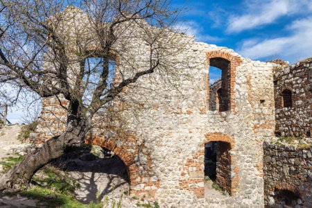 Téléchargez les photos : Les ruines du château de Devicky sur les collines Pavlov en Moravie du Sud, République tchèque, Europe. - en image libre de droit