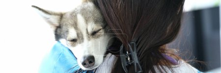 Téléchargez les photos : Vétérinaire tient chien husky sommeil mignon dans les bras. Services vétérinaires et contact amical avec les animaux - en image libre de droit