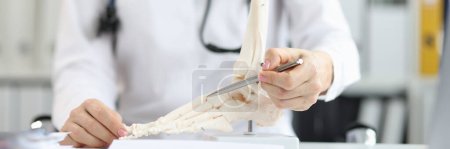 Téléchargez les photos : Le médecin orthopédique explique la physiologie du modèle osseux en pointant vers le point du modèle. Dites au patient comment traiter une maladie osseuse - en image libre de droit