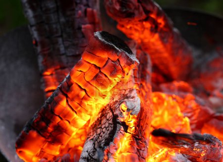 Photo for Focus on full of flames campfire possessing dead highly efficient type of forest wood specially cut for hot heat release usage in large scale amounts production. Blurred background - Royalty Free Image