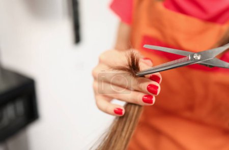 Photo for Hand of aster hairdresser holds split ends and scissors. haircut for long hair concept - Royalty Free Image