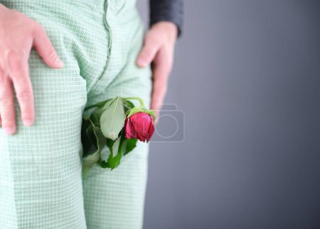 Photo for Withered rose flower sandwiched between man legs closeup. Male delicate problems impotence concept - Royalty Free Image