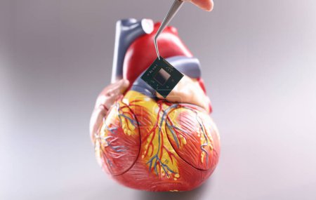 Mano insertando microchip en la maqueta artificial del corazón usando pinzas de primer plano. Posibilidades modernas del concepto de cirugía cardíaca