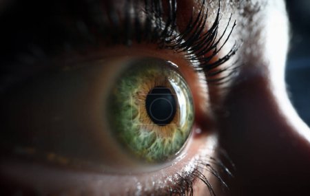 Mujer un ojo gris verde primer plano. Concepto de corrección de visión láser