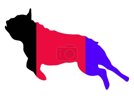 Téléchargez les photos : Silhouette d'un bulldog français et Drapeau de France - en image libre de droit