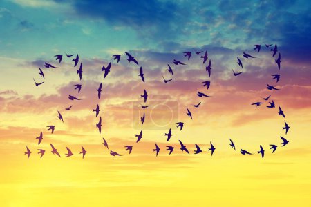 Silhouette von Schwarmvögeln, die 2023 bei Sonnenuntergang ins neue Jahr fliegen.