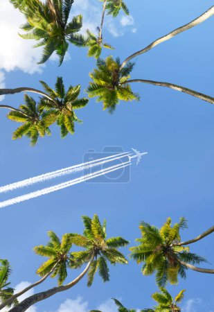 Photo for Coconut palm trees and airplane. Passenger plane flying over a tropical island. Holiday concept. - Royalty Free Image