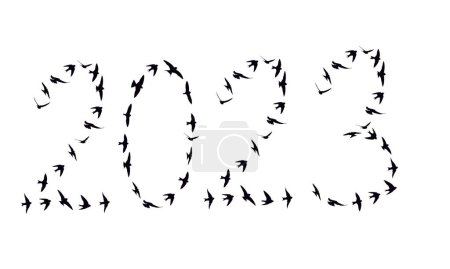 Foto de Silueta de aves de bandada volando en 2023 formación aislada sobre un fondo blanco. - Imagen libre de derechos
