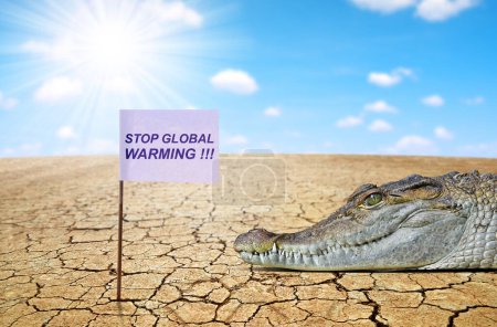 Photo for Crocodile in the parched landscape with cracked soil. Climate Change and Global warming concept. - Royalty Free Image
