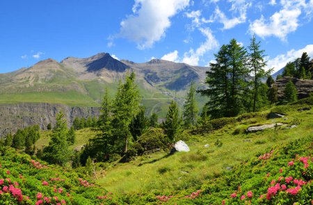 Foto de Parque Nacional Gran Paradiso. Valle de Aosta, Italia. Hermoso paisaje de montaña en día soleado. - Imagen libre de derechos