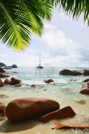 Photo for Anse Lazio beach in the island Praslin, Seychelles, Indian Ocean, Africa. - Royalty Free Image