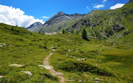 Foto de Parque Nacional Gran Paradiso. Valle di Bardoney, Valle de Aosta, Italia. Hermoso paisaje de montaña en día soleado. - Imagen libre de derechos