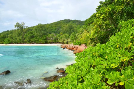 Photo for Anse Severe beach in the tropical island La Digue, Seychelles. - Royalty Free Image