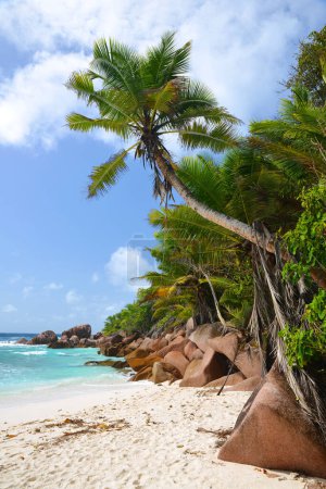 Photo for Anse Cocos beach with big granite stones in La Digue Island, Indian Ocean, Seychelles. Tropical landscape with sunny sky. Exotic travel destination. - Royalty Free Image