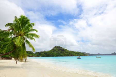 Foto de Playa de arena tropical Anse Volbert con mar turquesa en la isla Praslin, Seychelles, Océano Índico, África. - Imagen libre de derechos