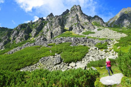Photo for Tourist in the Mlynicka Valley, Vysoke Tatry (Tatra Mountains), Slovakia. - Royalty Free Image