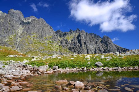 Téléchargez les photos : Petit lac près de Dlouhe pleso dans la vallée de Velicka, Vysoke Tatry (montagnes Tatra), Slovaquie. - en image libre de droit