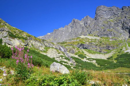 Photo for View on the Velicke Granaty from the Velicka valley, Vysoke Tatry (Tatra Mountains), Slovakia. - Royalty Free Image