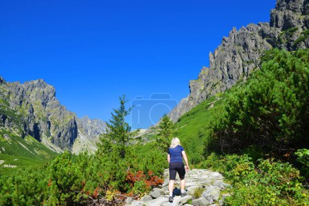 Téléchargez les photos : Femme dans le Mala Studena Dolina, Vysoke Tatry (montagnes Tatra), Slovaquie. - en image libre de droit